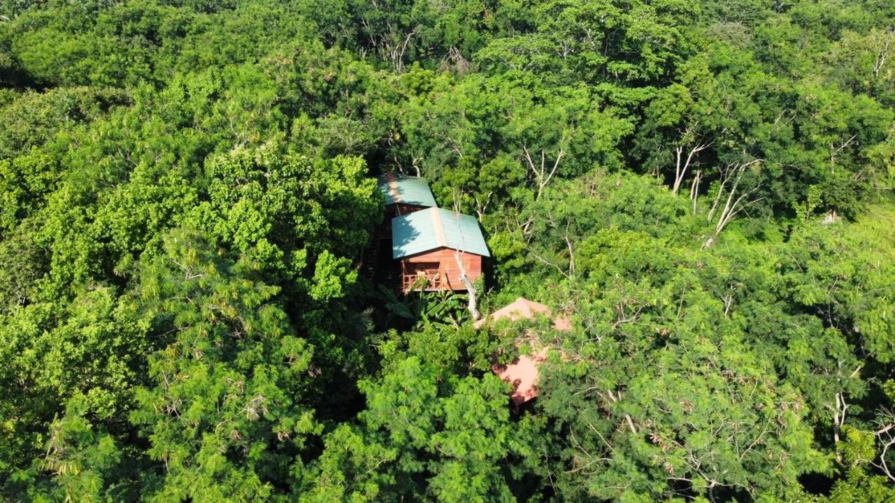 Tree house Hostel Sigiriya Buitenkant foto