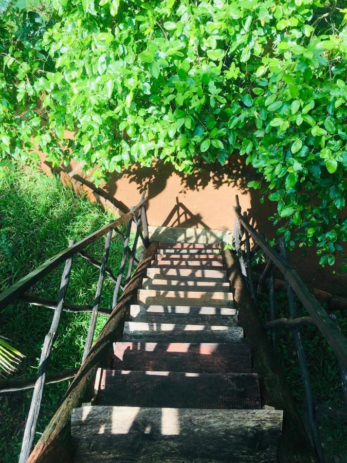 Tree house Hostel Sigiriya Buitenkant foto