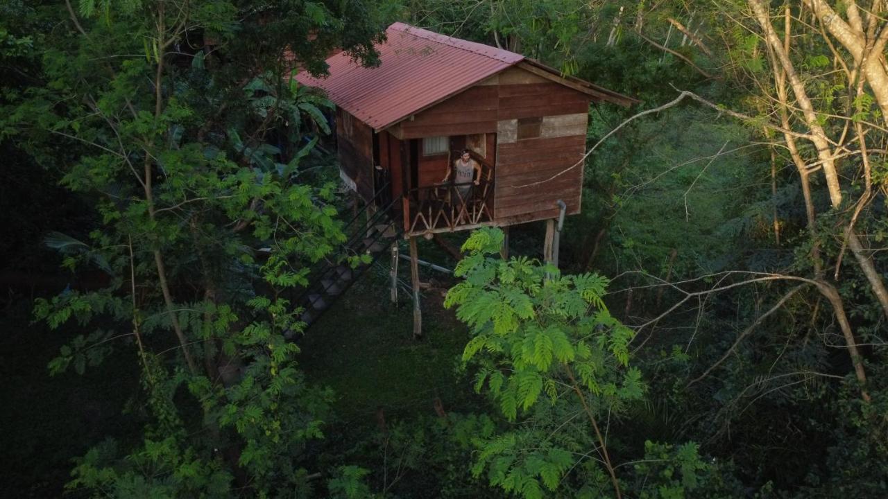 Tree house Hostel Sigiriya Buitenkant foto