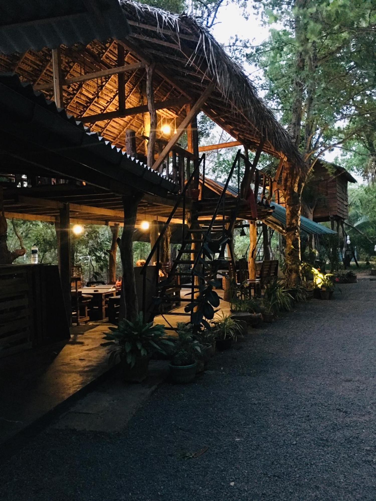 Tree house Hostel Sigiriya Buitenkant foto