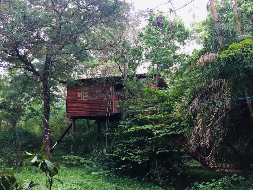 Tree house Hostel Sigiriya Buitenkant foto