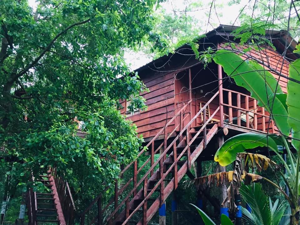 Tree house Hostel Sigiriya Buitenkant foto