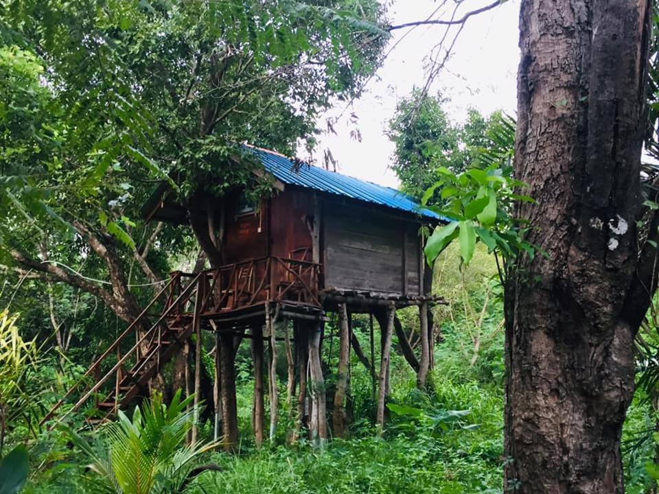 Tree house Hostel Sigiriya Buitenkant foto