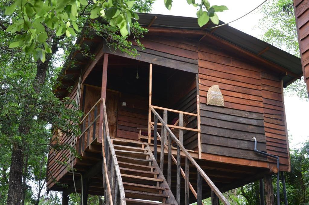 Tree house Hostel Sigiriya Buitenkant foto